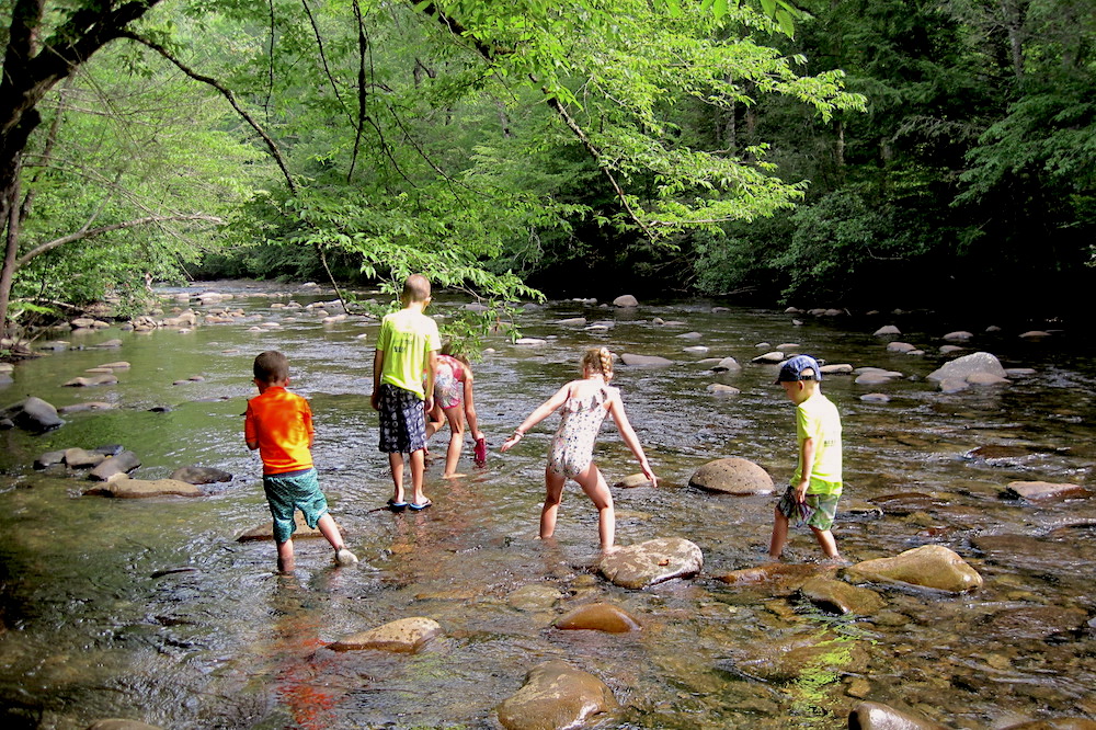 kids playing in mountain stream