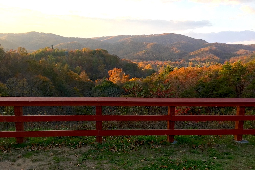 fall color mountain trees