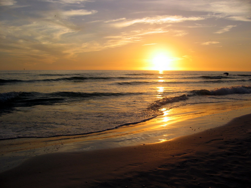 sun setting on horizon at beach