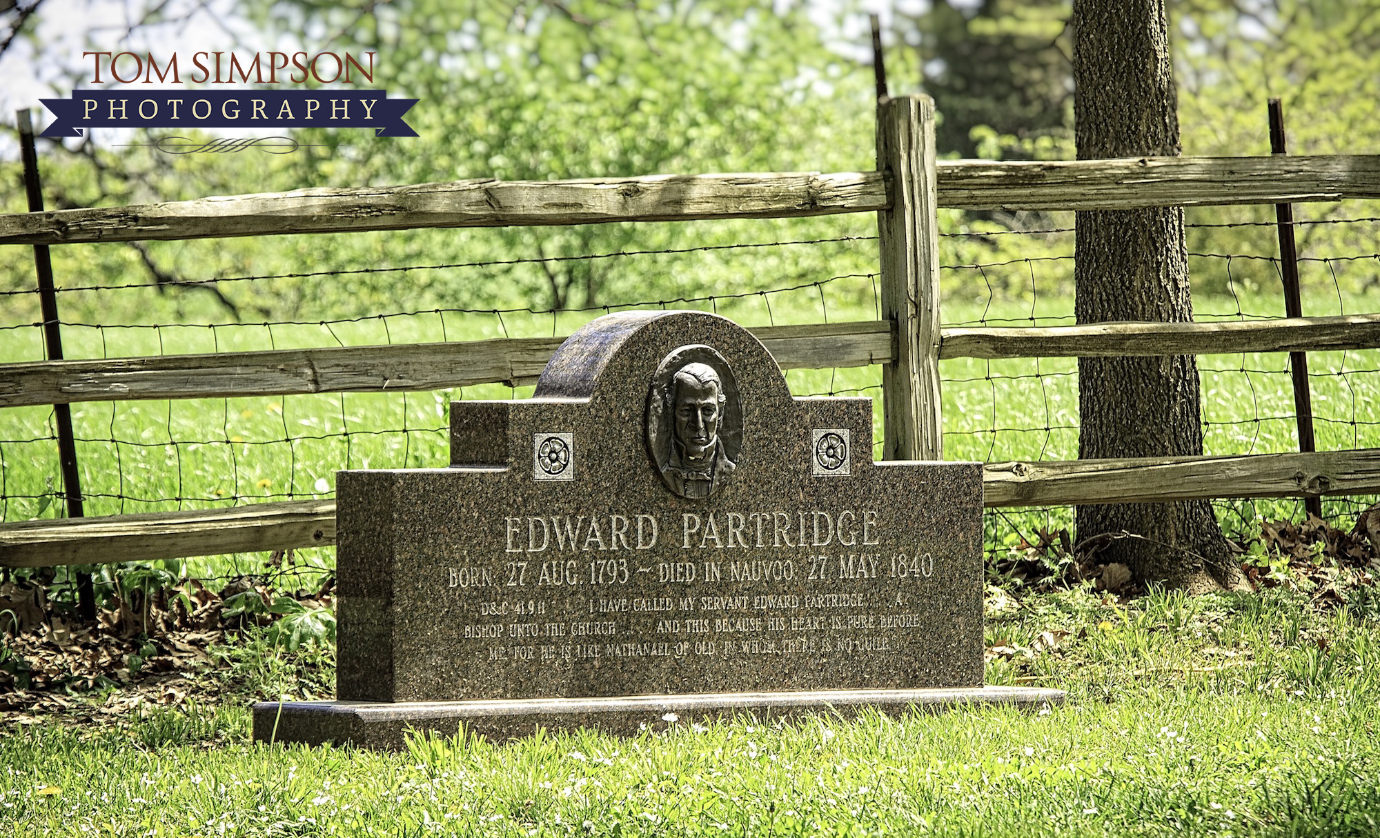 headstone in old pioneer cemetery