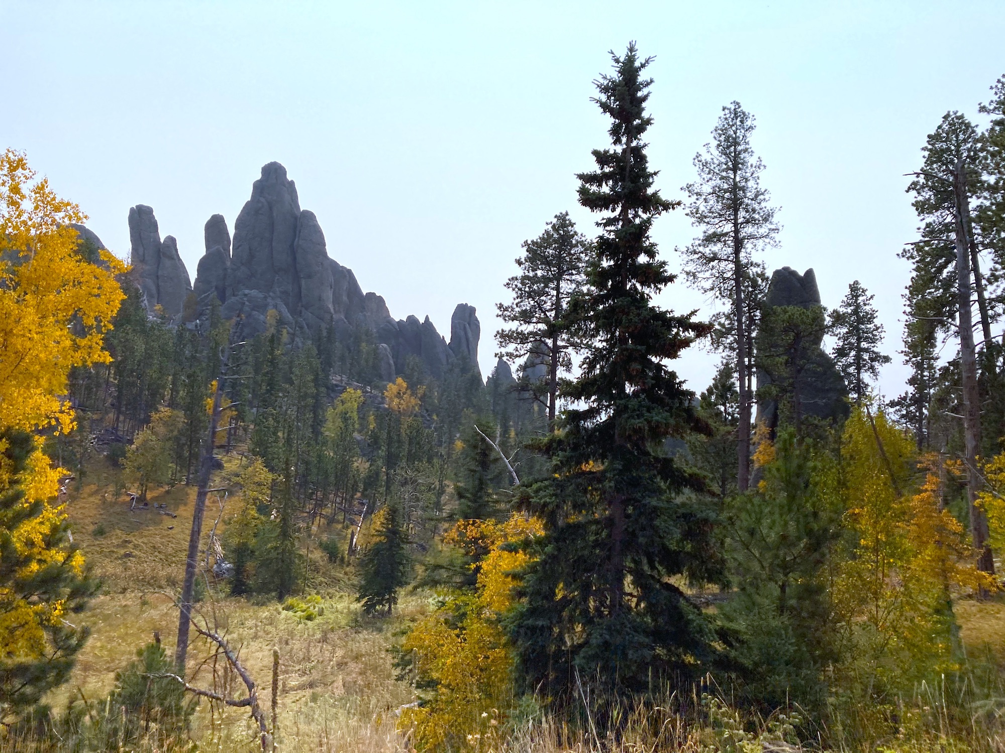 awesome view of custer state park