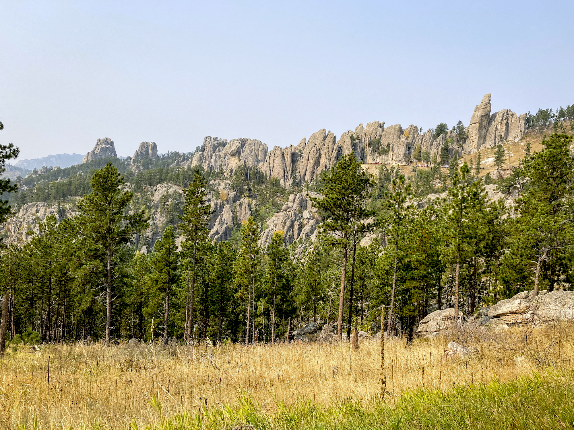 awesome view of custer state park