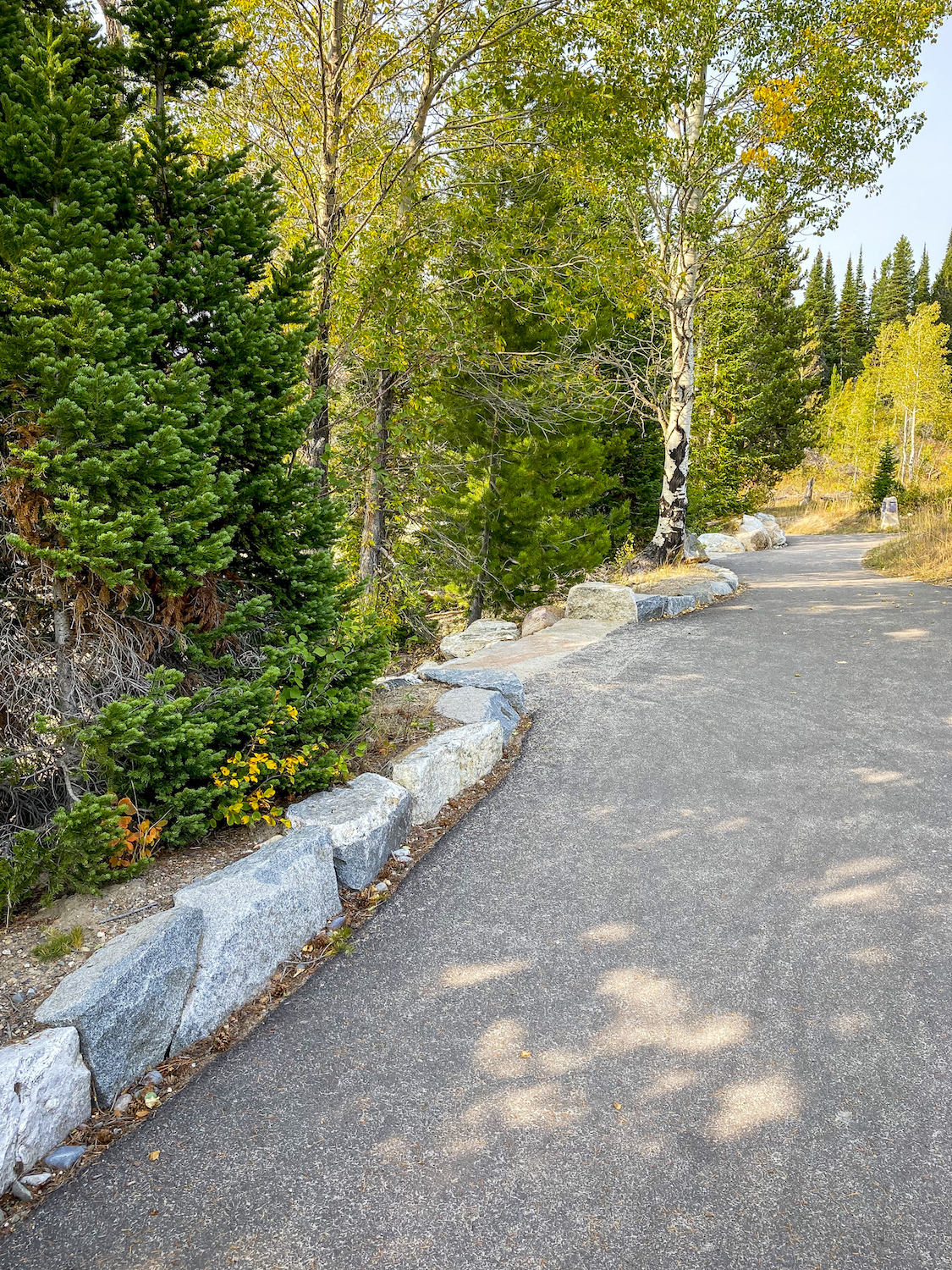 walking trail at grand teton national park