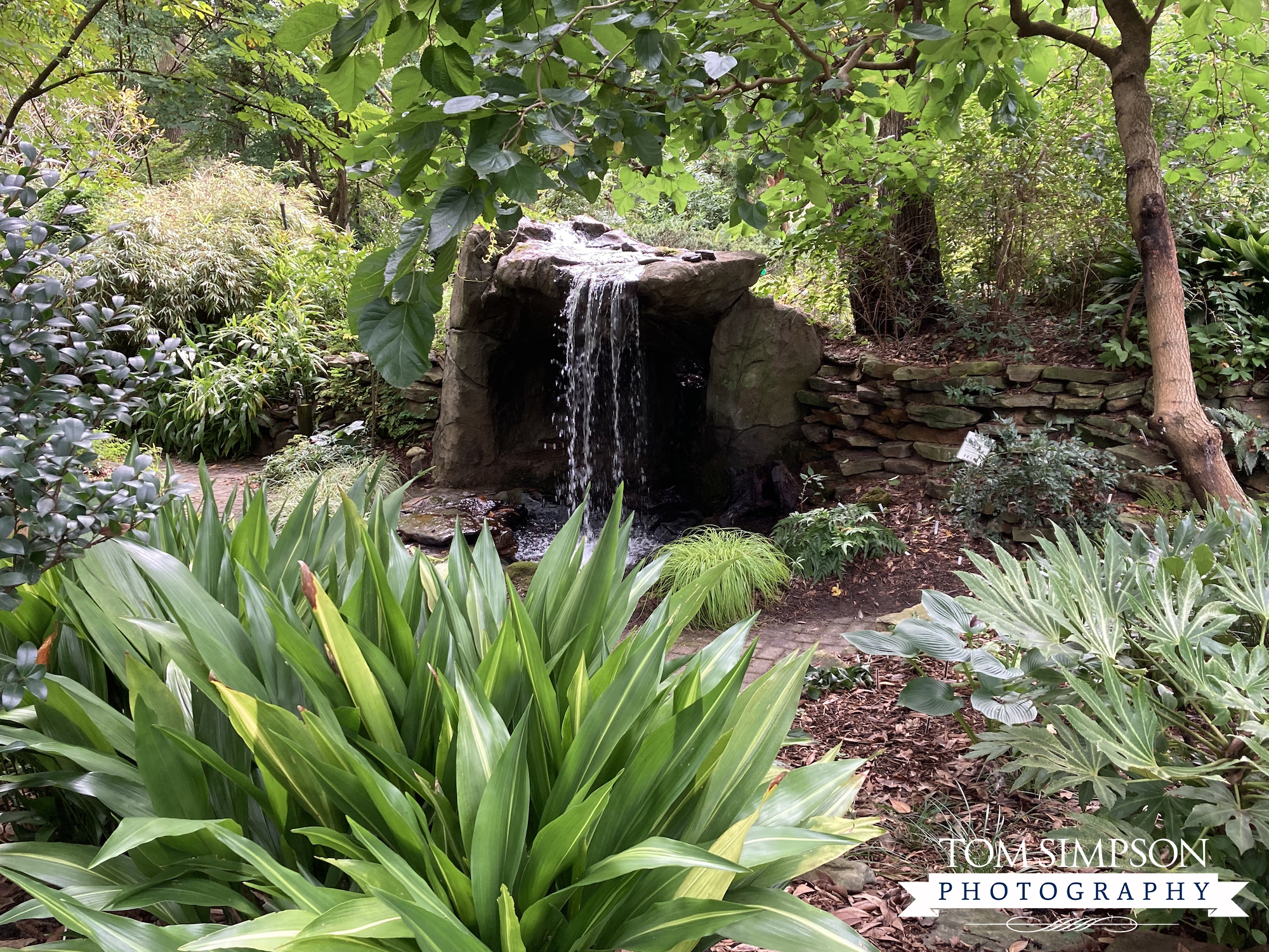 Juniper Level Botanic Garden In Raleigh