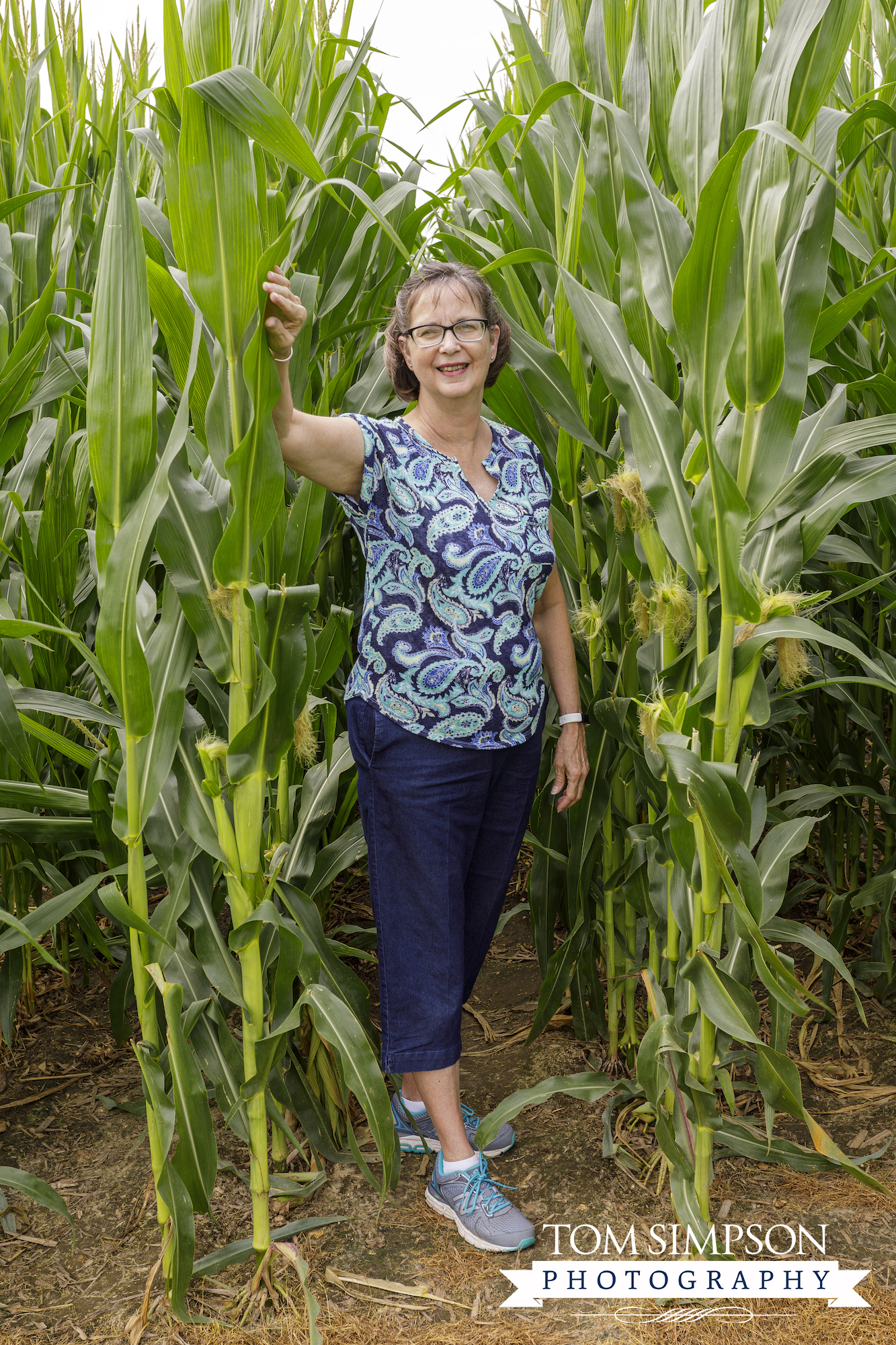 iowa's most beloved cornfield