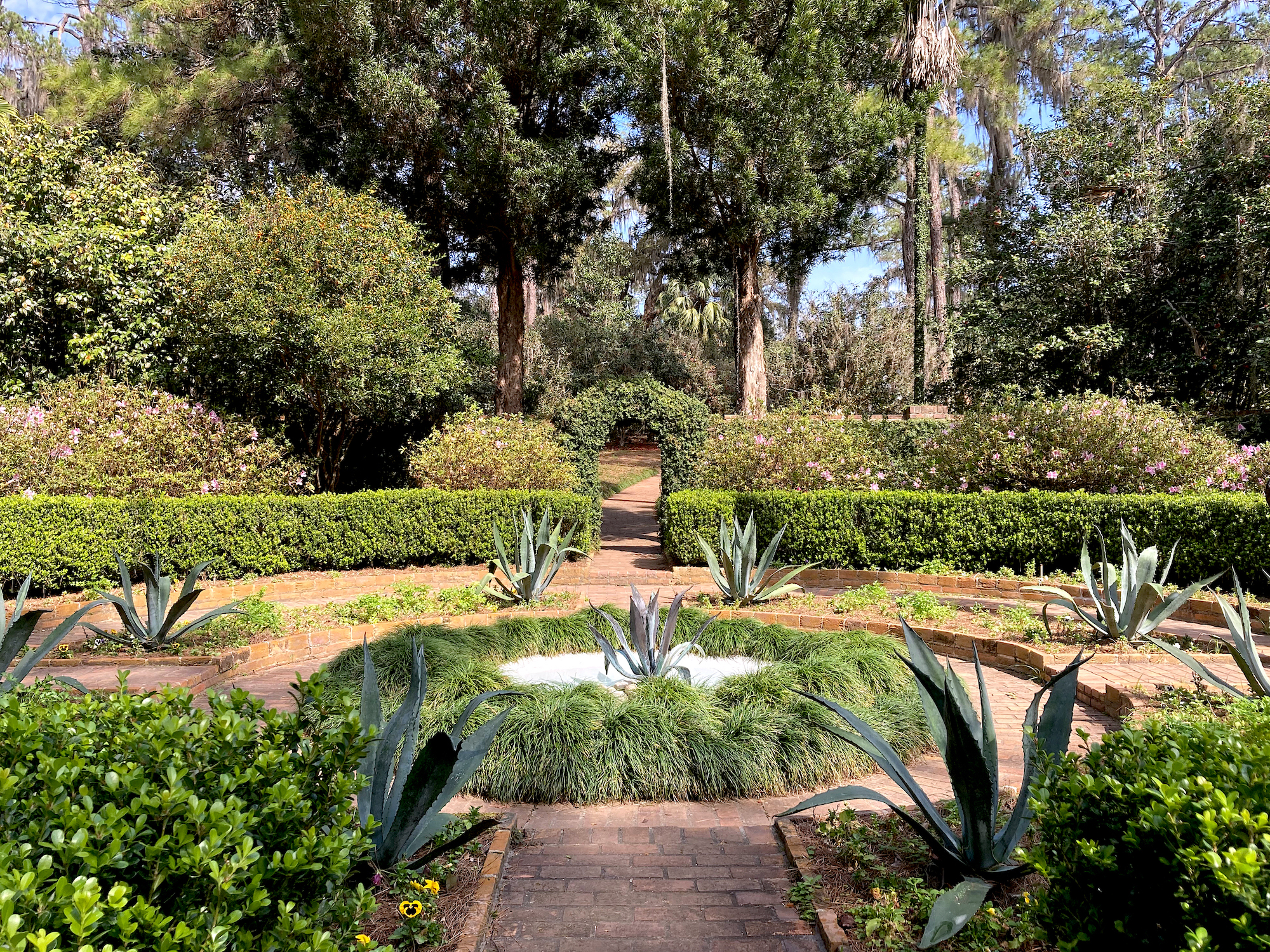 plants inside the walled garden