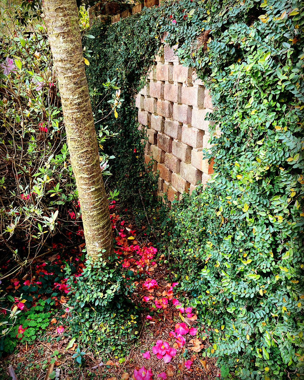 brick wall maclay gardens tallahassee fl