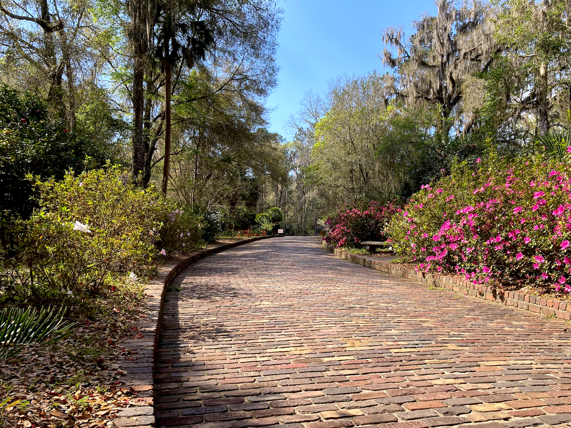 Maclay gardens tallahassee fl