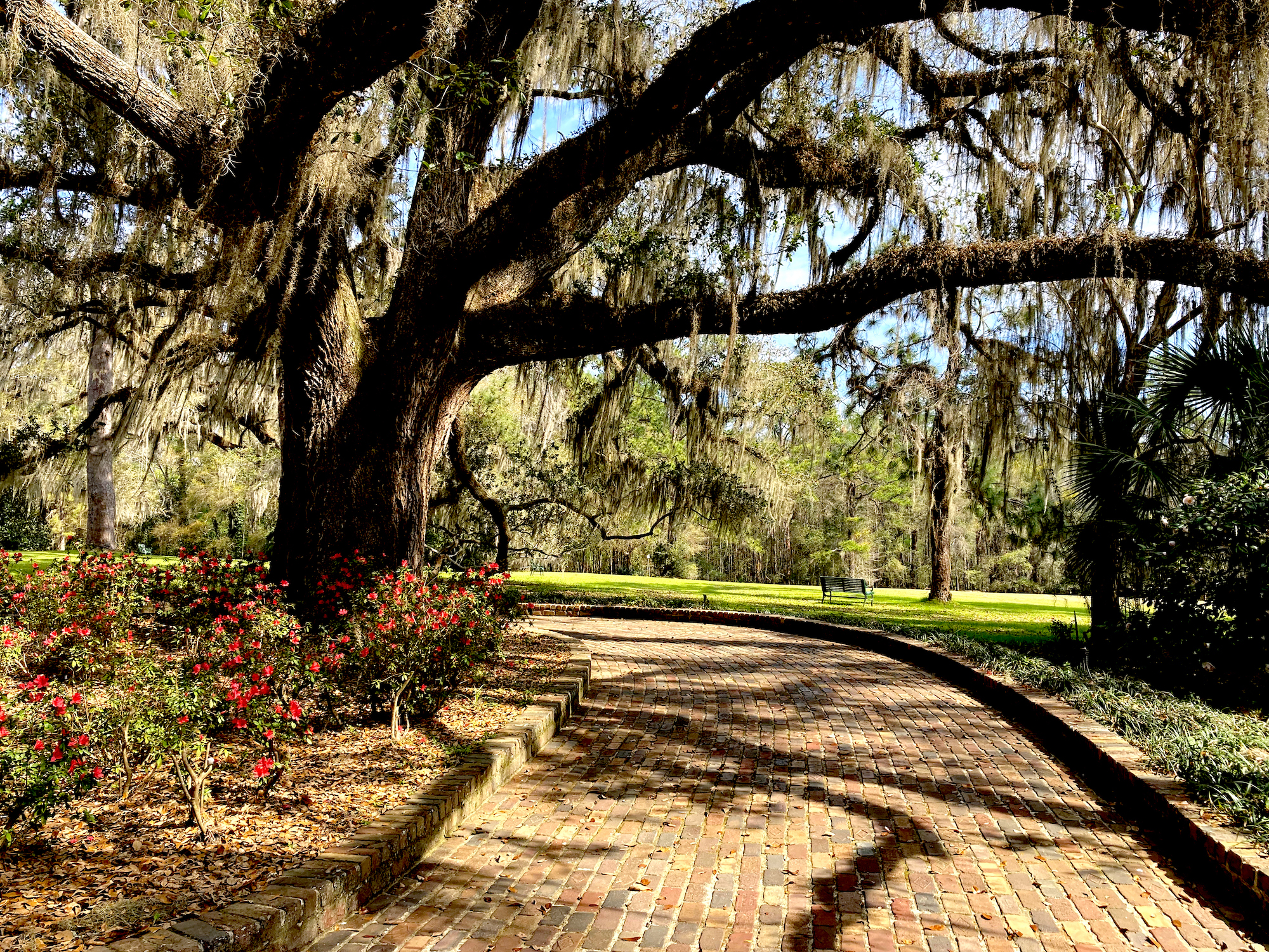 bench on lawn in front of maclay home