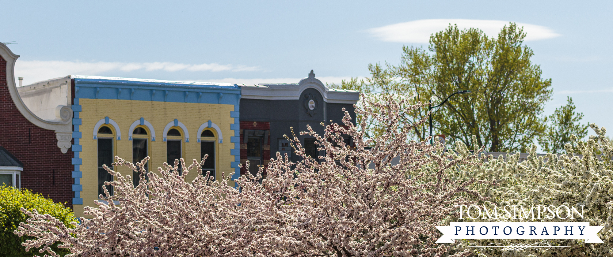 historic buildings with spring blossoms