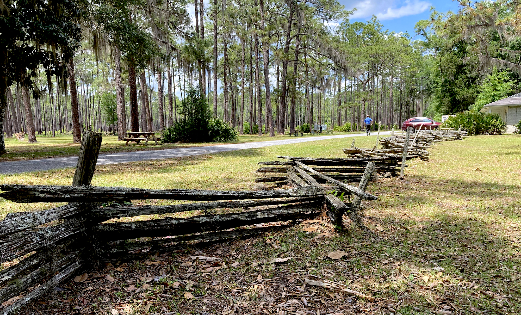 split rail fence at olustee state park