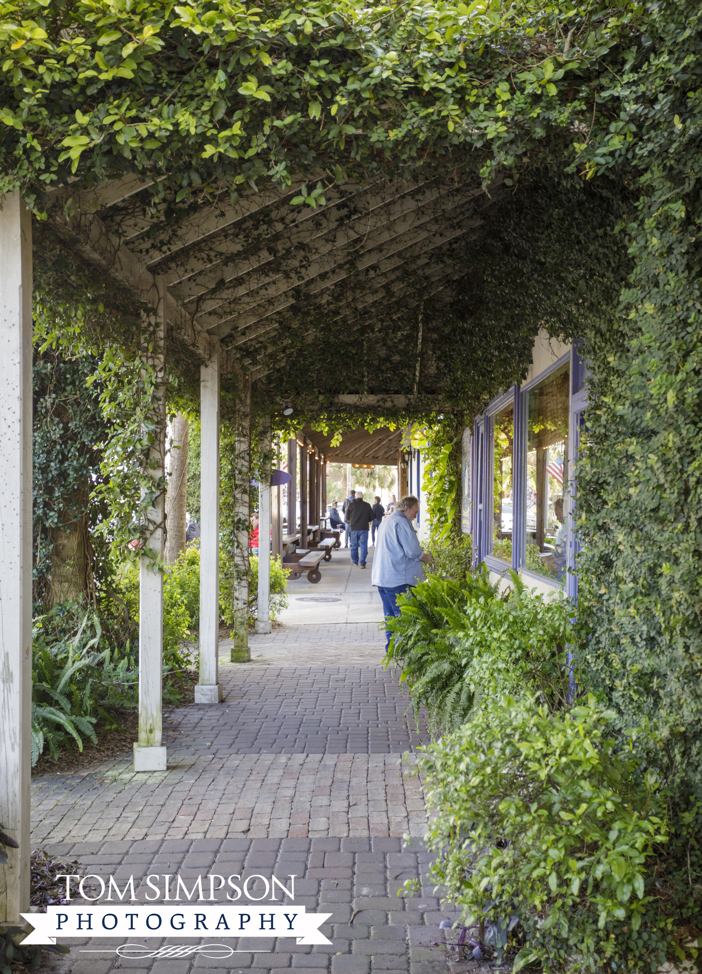 small town plant covered sidewalk