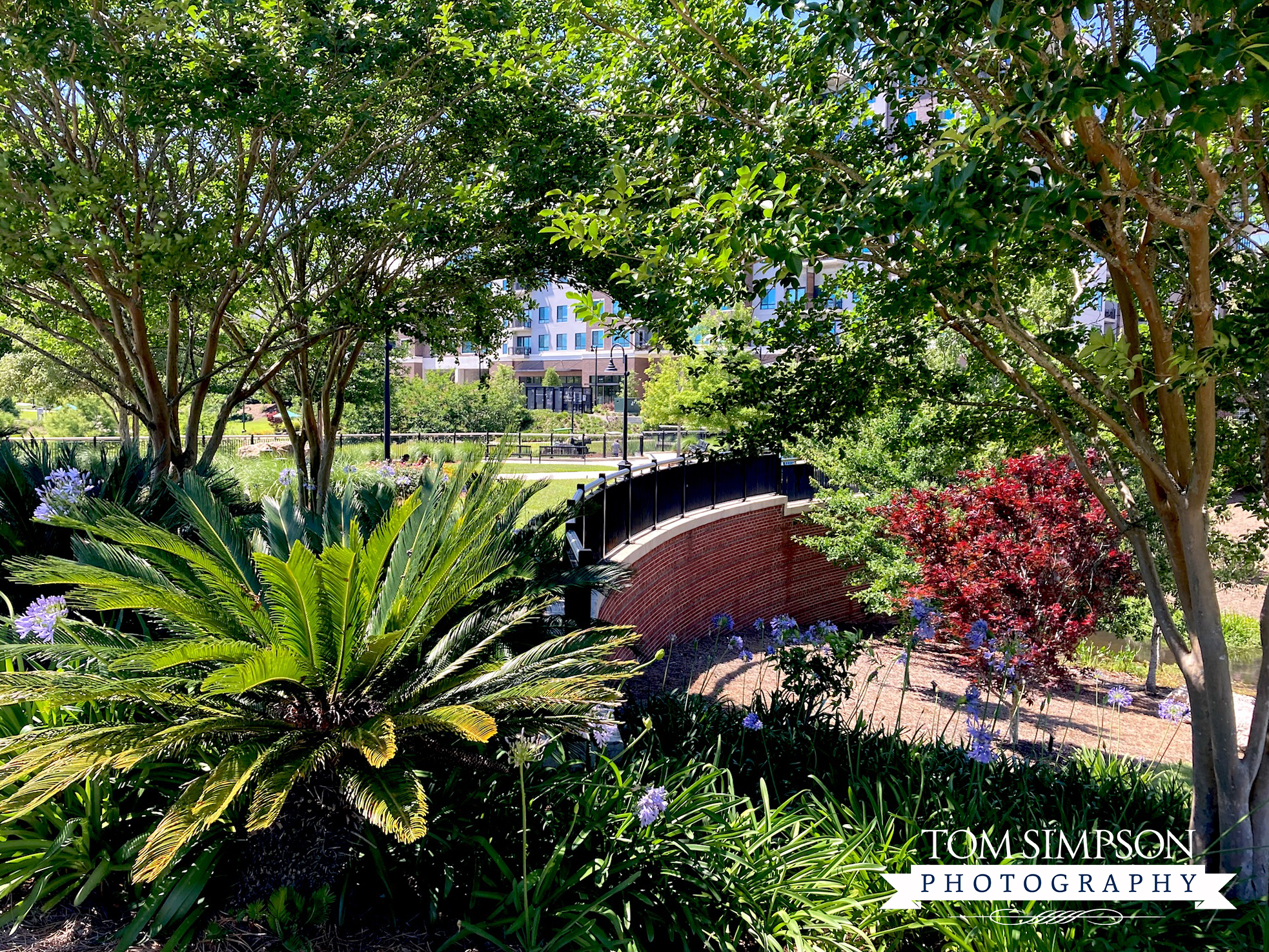 something for all nature lovers at cascades park