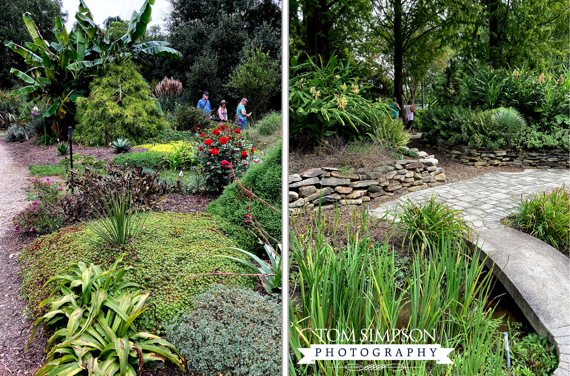 gardeners love variety of plants and paved pathways