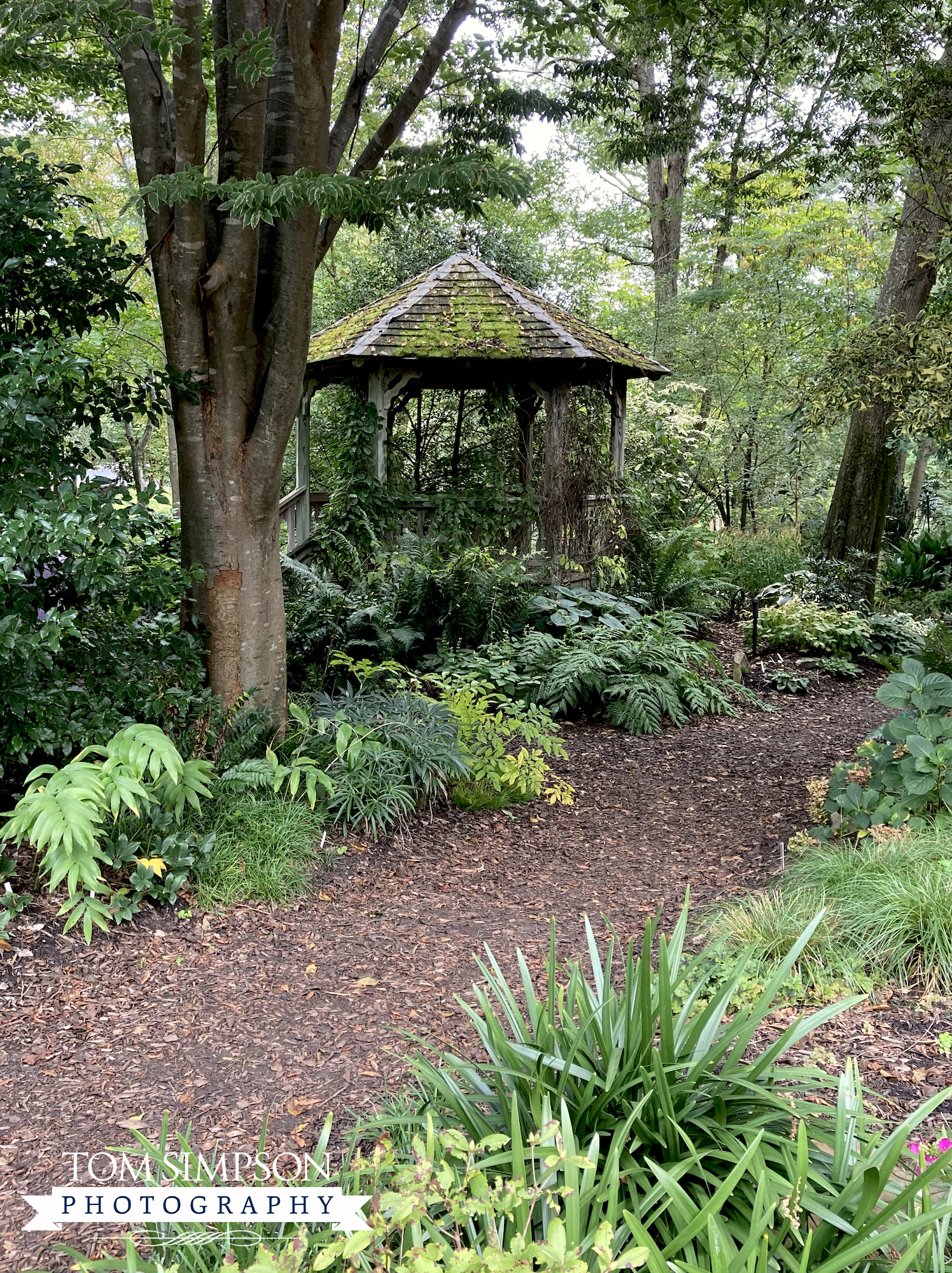 gazebo in botanic garden surrounded by plants