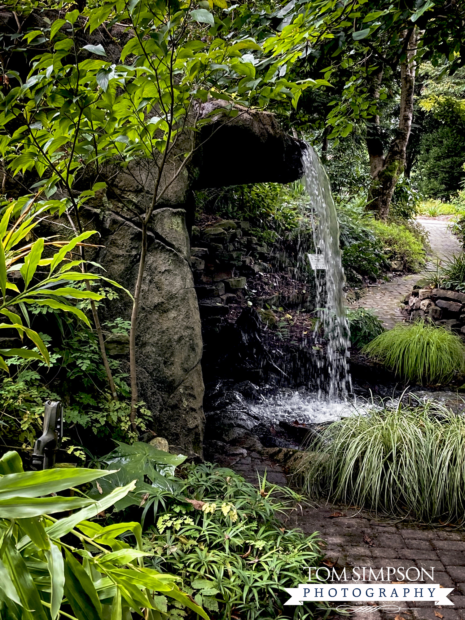 gardeners love waterfalls surrounded by plants