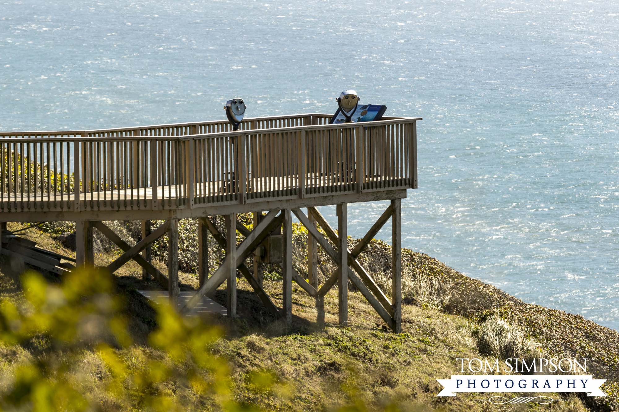 observation deck with viewers at sea lion caves