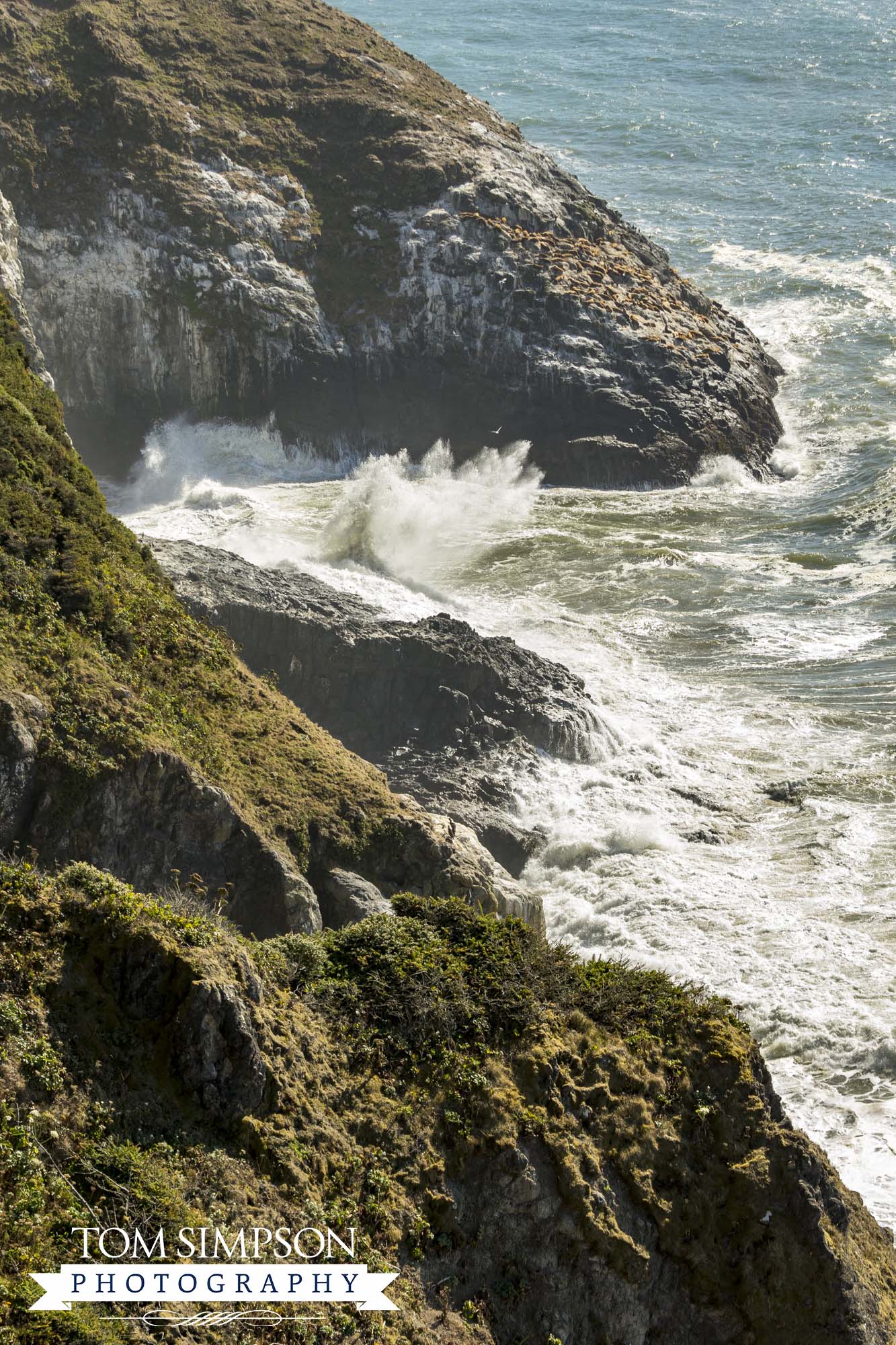 huge waves crash against the rocks
