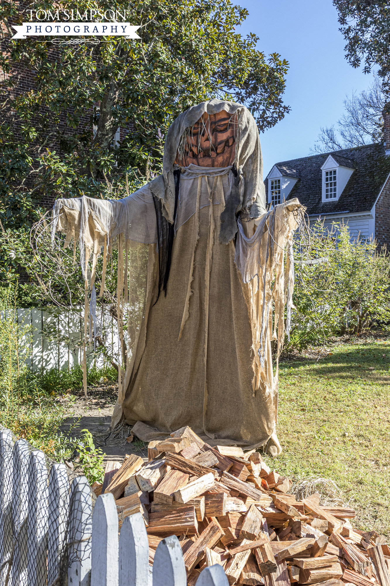 wood pile and halloween effigy