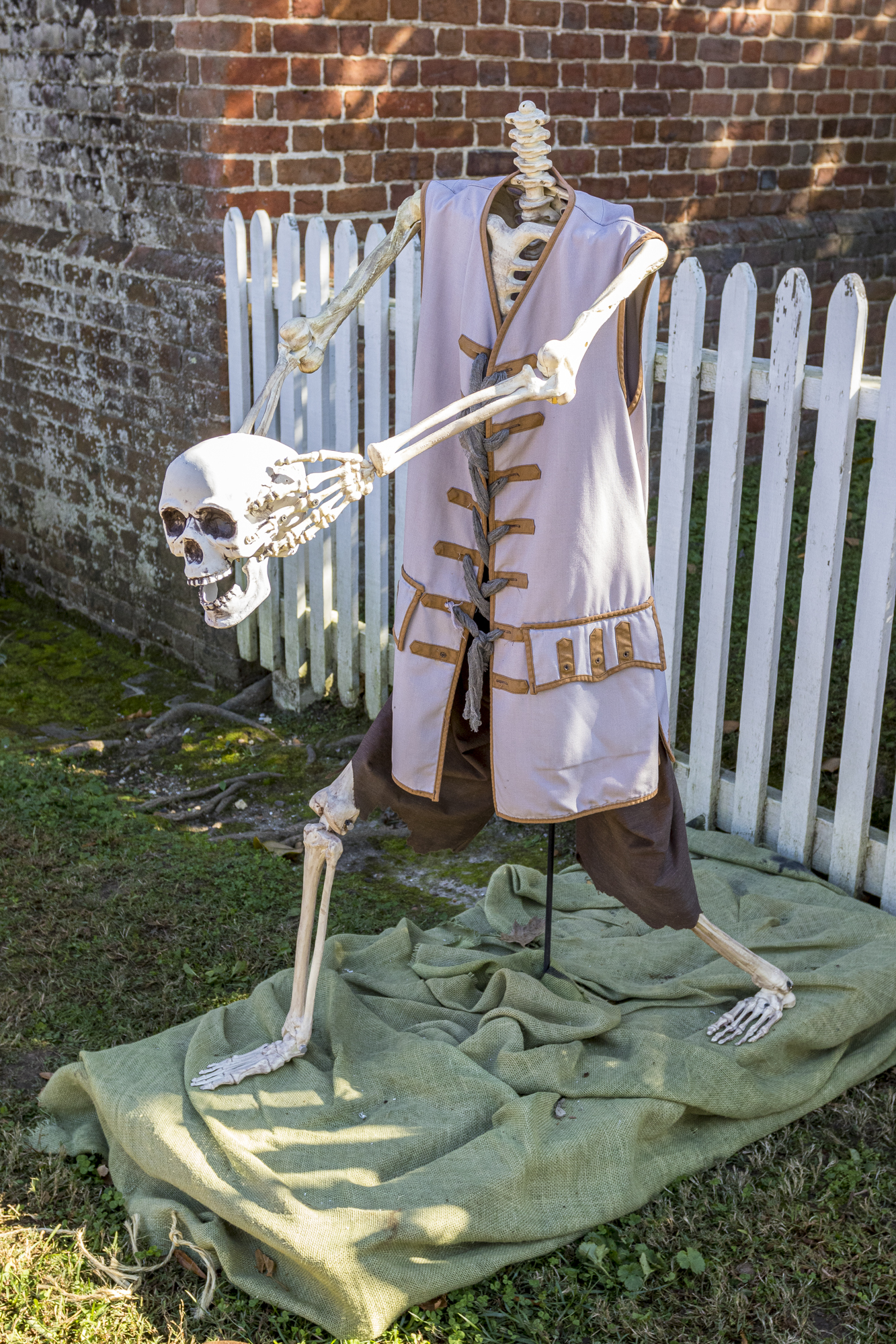 surprise halloween skeleton hands off his head